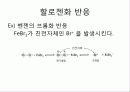 유기화학 벤젠링 치환  13페이지