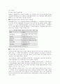 중저가숙박기업 경영전략 2페이지