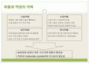 it분야 여성 창업 13페이지