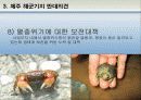 제주 해군기지 건설 찬성과 반대 의견 14페이지