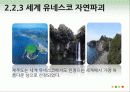 제주도 해군기지 건설 찬반분석 10페이지