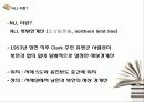 NLL 설정배경과 천안함, 연평도 사건 분석 4페이지