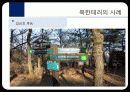 휴전 후 대남 테러사례분석과 교훈 18페이지