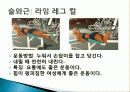 웨이트 트레이닝 초보자를 위한 기초 프로그램, 학습 목표, 도구, 학습장소, 과정, 효과, 유의사항, 특징, 관리, 역할 총체적 조사분석 5페이지