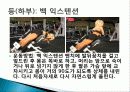 웨이트 트레이닝 초보자를 위한 기초 프로그램, 학습 목표, 도구, 학습장소, 과정, 효과, 유의사항, 특징, 관리, 역할 총체적 조사분석 11페이지