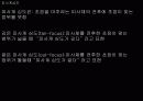 렌즈의 종류와 피사계심도 14페이지