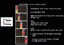조리개와 셔터-사진학개론 5페이지