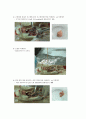 동물실험 - 쥐해부실험 4페이지