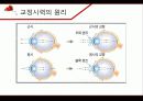 제2장 시각장애 5페이지