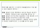 4장 교육심리학적기초 13페이지