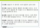 4장 교육심리학적기초 14페이지
