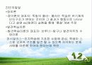 4장 교육심리학적기초 30페이지