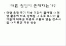 지구온난화 12페이지
