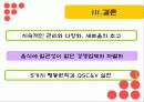 맥도날드의 국제경영전략 62페이지