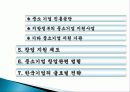 우리나라 창업 발전방안, 지원제도, 우리나라 산업화의 문제점, 중소기업 육성방안, 창업관련 법령, 한국기업의 글로벌 전략, 현황, 관리, 조사분석 3페이지
