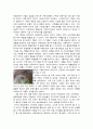 문화탐방(터키) 탐방계획서 - 종교문화 위에 건립된 터키를 가다! 3페이지