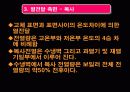 [연소공학] 거꾸로 타는 보일러 설계자료 9페이지