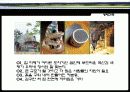 친환경건축 44페이지