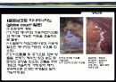 친환경건축 46페이지