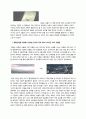 [영상예술의 이해] 천사와 악마 (Angels & Demons) - 관객의 내용전개 몰입을 위해 영화가 닦아놓은 길 5페이지