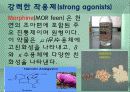 모르핀 (Morphine) 3페이지