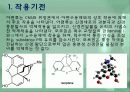 모르핀 (Morphine) 4페이지