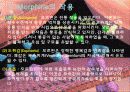 모르핀 (Morphine) 7페이지