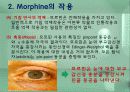 모르핀 (Morphine) 8페이지