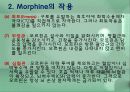 모르핀 (Morphine) 9페이지
