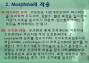 모르핀 (Morphine) 10페이지