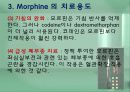 모르핀 (Morphine) 12페이지