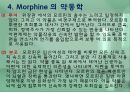 모르핀 (Morphine) 13페이지