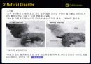 Global Business(글로벌비지니스) 16페이지