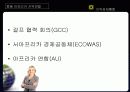 글로벌경제,글로벌비지니스 (Key Success Factors Global Business) 18페이지