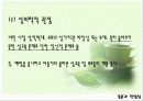 S&M - 사도마조히즘 - 성문제,성윤리,마케팅,브랜드,브랜드마케팅,기업,서비스마케팅,글로벌,경영,시장,사례,swot,stp,4p 9페이지