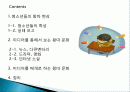 [미디어문화론 공동과제] 청소년 왕따문화 2페이지