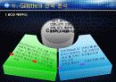 질레트(Gillette) 12페이지