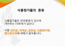 식품첨가물_올바른 식품 선택하기 4페이지