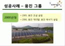 기업의 다각화 전략 16페이지