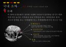 진주 소싸움과 청도 소싸움의 비교 분석 15페이지