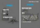 스카이 항공사 (Sky) 4페이지