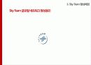 스카이 항공사 (Sky) 8페이지