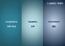 스카이 항공사 (Sky) 13페이지