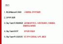 스카이 항공사 (Sky) 17페이지