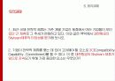 스카이 항공사 (Sky) 18페이지