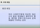 국제정치의 이해 -환경 9페이지