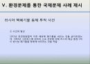 국제정치의 이해 -환경 13페이지