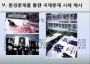 국제정치의 이해 -환경 18페이지