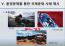 국제정치의 이해 -환경 20페이지