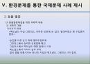 국제정치의 이해 -환경 28페이지